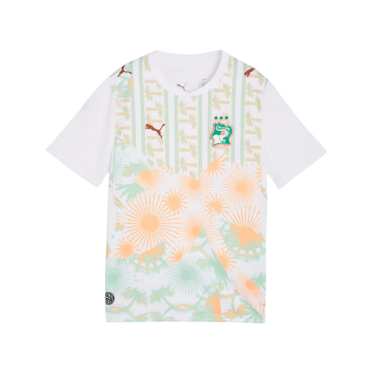 MAILLOT COUPE DU MONDE CÔTE D'IVOIRE EXTÉRIEUR 2026/27